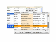 APNSoft DataGrid screenshot